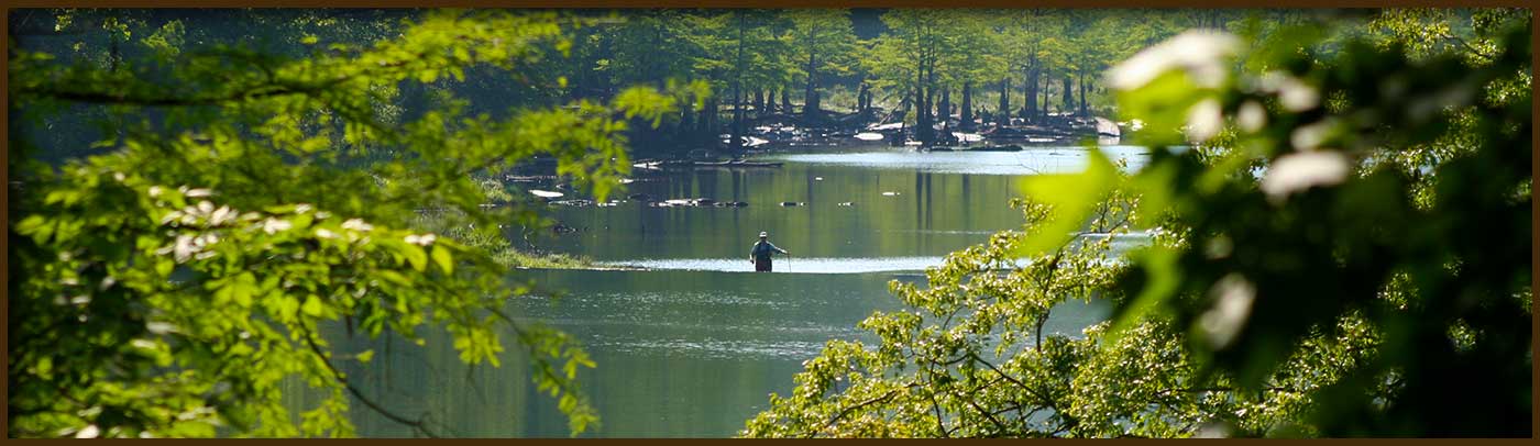 Beavers Bend Cabins Broken Bow Lake Cabins Oklahoma Vacations